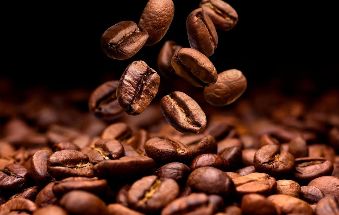 Light vs. Dark Roast: Which is Right for You? The Ultimate Coffee Showdown - Apex Grounds Coffee